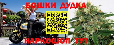 гашик Канаш
