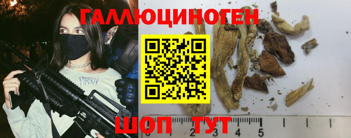 Галлюциногенные грибы мухоморы  Псилоцибиновые грибы Psilocybine cubensis  Луга  Вход с VPN 